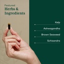 gaia-herbs-pro-thyroid-formula-supports--4.jpg