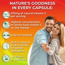 whole-food-vitamin-c-complex-1450mg-orga-4.jpg