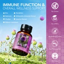liver-cleanse-detox-repair-milk-thistle--4.jpg