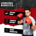 ashwagandha-maca-root-with-turmeric-ging-5.jpg