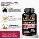 dr-wellme-shilajit-ashwagandha-sea-moss--2.jpg