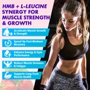 hmb-and-l-leucine-gummies-3000mg-combine-3.jpg