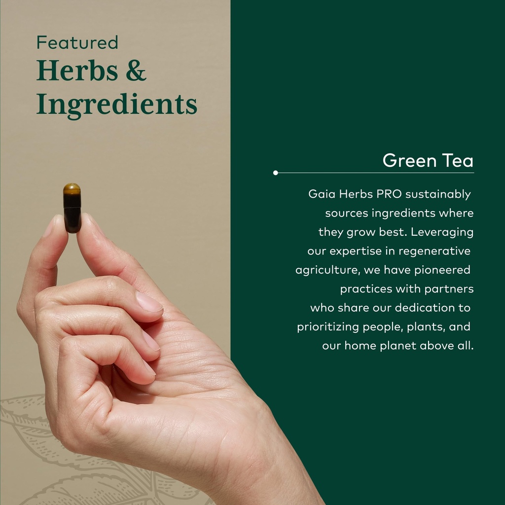 gaia-herbs-pro-green-tea-heart-health-an-4.jpg