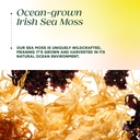 megafood-sea-moss-complex-irish-sea-moss-5.jpg