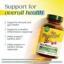 megafood-sea-moss-complex-irish-sea-moss-3.jpg