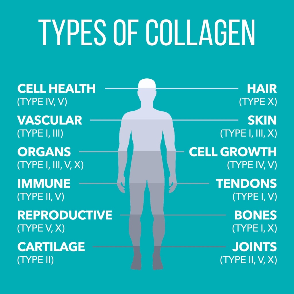 naturesplus-collagen-peptides-vanilla-0--4.jpg