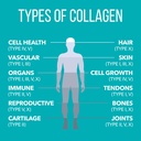 naturesplus-collagen-peptides-vanilla-0--4.jpg