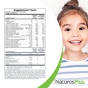 naturesplus-animal-parade-children-s-che-6.jpg