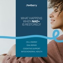 direct-nad-300mg-nad-plus-advanced-nad-s-6.jpg