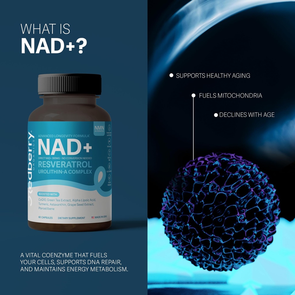 direct-nad-300mg-nad-plus-advanced-nad-s-4.jpg