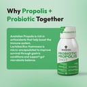 bee-and-you-propolis-immune-shot-probiot-6.jpg