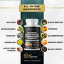 sea-moss-black-seed-oil-ashwagandha-turm-2.jpg