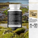 sea-moss-black-seed-oil-ashwagandha-turm-5.jpg