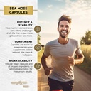 sea-moss-black-seed-oil-ashwagandha-turm-6.jpg