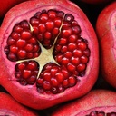 blue-toad-botanicals-beets-nitric-oxide--5.jpg