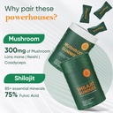 bundle-of-himalayan-shilajit-mushroom-gu-3.jpg