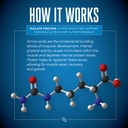 sirenlabs-isolate-premium-whey-protein-p-6.jpg