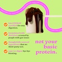 gut-friendly-protein-powder-for-sensitiv-3.jpg