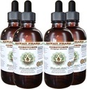 Cordyceps Alcohol-Free Vedel Extract, Cordyceps (Cordyceps Sinensis) Seene Glycerite Hawaii Pharm Natural Taimne Lisa 4x4 oz