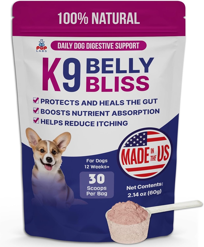 K9 Błysk brzucha, All- Natural Gut Health for Dogs, Vet Zatwierdzony prebiotyk dla psów do codziennego wsparcia trawiennego i psów zaparcia Relief, Łatwy w użyciu Topper dla suchej i mokrej żywności, 30 Scoops.