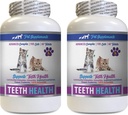 cat Bad Breath Treats - CAT Teeth Health - Advanced Mouth Health Complex - Immune Boost - Vitamin b12 for Cats - 2 Bottles (120 Tablets)