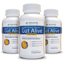 Holistic Health Labs Gut Alive - All Natural Support to Fight IBS, Heartburn, Acid Indigestion, Acid Reflux, Bloating & Gas. Unique Formulation (60 Count (Pack of 3))