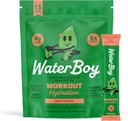 Waterboy workout hydratatie 2,960mg suikervrije elektrolytpoederverpakkingen 