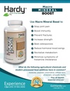 Macro Mineral Boost - High Intensity Calcium Supplement för Bone & Teeth Health med vitamin C, D, K, Calcium, Phosphorus och Magnesium, Ultra Absorbable