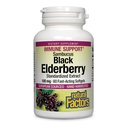 Natural Factors Black Elderberry, 100 mg, 60 Fast-Acting Softgels