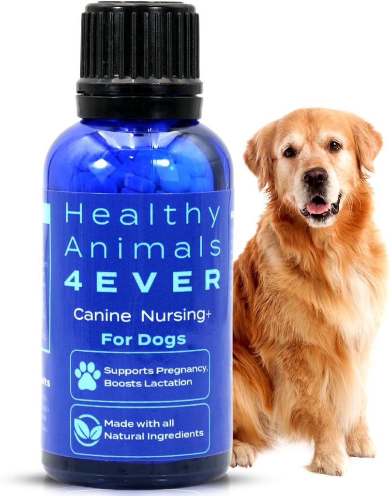 HA4E - Canine Pregnancy & Nursing Support - Boosts Lactation & Hilft Pregnancy & Nursing Issues zu verhindern - Safe, Fast-Acting, Natural Care Formula - 300 Tabletten