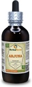Arjuna (Terminalia Arjuna) Tincture、有機乾燥樹皮の液体のエキス(ブランド名:HerbalTerra、米国で主に作られた)4 fl.oz (120 ml)