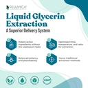 Rejuvica Health NerveFactor - Advanced Nerve Atbalsta Papildinājums - Šķidruma piegāde labākai absorbcijai - Acetyl-L-karnitīns, Alfa Liposkābe, vitamīns B12, Folijskābe, White Willow Bark & More!