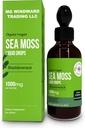 Organic Sea Moss Liquid Drops | 30.000 MG | Sea Moss con Bladderwrack, Elderberry | 4X máis forte Organic Sea Moss que pílulas e cápsulas para unha vida saudable! 1 botella
