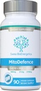 MitoDefence - 300 mg CoQ10 z 21mg PQQ i 210mg Shilajit Daily dose - All- in- ONE Mitochondrial Support with Enhanced Absorption - Productured and Tested in The USA