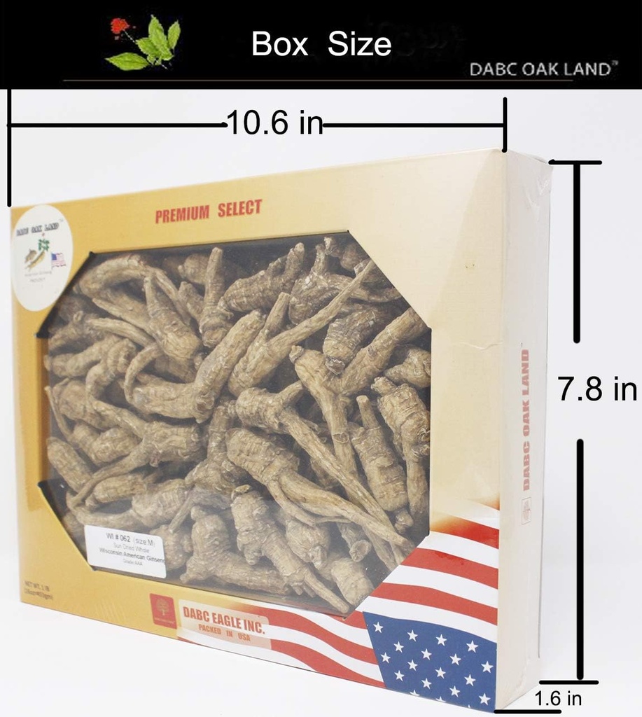 DOL Hand-Selected American Wisconsin Farmed Ginseng Root Medium&Large 美国威斯康辛州 长枝西洋参 花旗参 | Cultivated Wisconsin American Ginseng (Medium 16oz/Box)