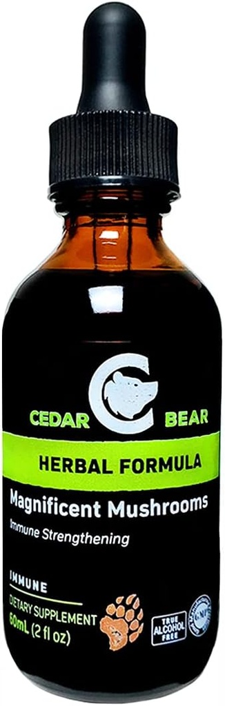Cedar Bear Magnificent Mushrooms Immune 시스템 구축, 보호, 강도 및 균형 전체 건강 2 Fl Oz