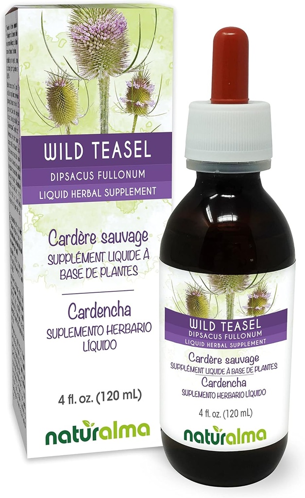 Naturalma Wild Teasel və ya Fuller's Teasel (Dipsacus fullonum və ya D. sylvestris) Kök Alkol-Free Tincture - Drops 4 fl oz maye özü - Herbal Supplement - Vegan