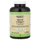 Vitacost Root2, BioCell Collagen®, 240 Capsules