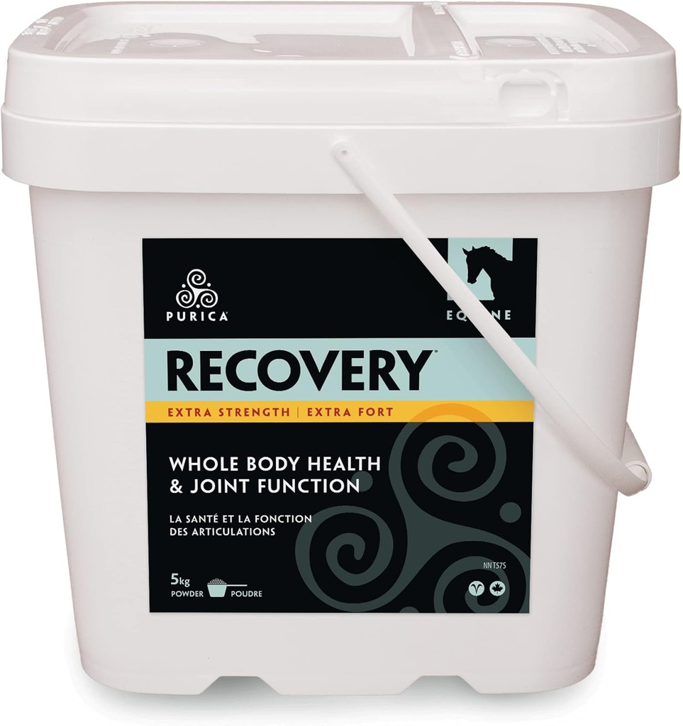 PURICA Recovery Extra Strength - Equine Joint Supplement - Supporto completo per cavalli - Integratore ideale per cavalli senior, MSM Powder Incluso - Polvere 11 lb