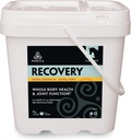 PURICA Recovery Extra sterkte - Equine Joint Supplement - Uitgebreide ondersteuning voor paarden - Ideaal paard Joint Supplement voor senior paarden, MSM poeder inbegrepen - 11 lb poeder