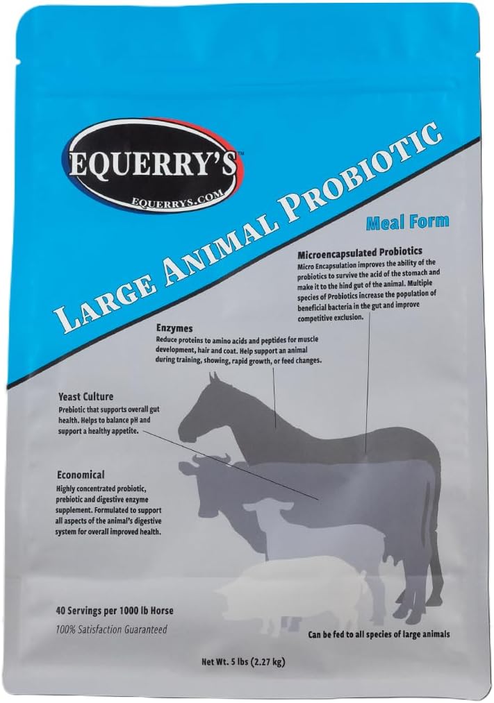 Equerry 's Large Animal Probiotic S124; doplňky pro Gut Health and Nutrient Absorption S124; Probiotika a trávicí enzymy pro koně, krávy, kozy, ovce, prasata, 40 Krmiva (5 liber) pro 1000 liber zvířat