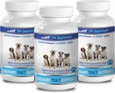 Dog Urinary Incontinence Supplements - Dog Urinary Tract Support - Natural Cranberry Solution - Bladder Health - Vet Rekommenderad - Cranberry Juice för hundar - 3 flaska (270 behandlingar)