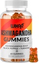 Ashwaranda Gummies with Turmeric and Black Perper Sect - Herbal Gummy Supplement - 60 Gummies