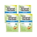Dramamine Advanced Herbals Nausea Ginger Chews, Non Drowsy Motion Sickness Relief, Lemon Honey Ginger Flavor, Soothes Upset Stomach, 20 Soft Chews (Pack of 4)