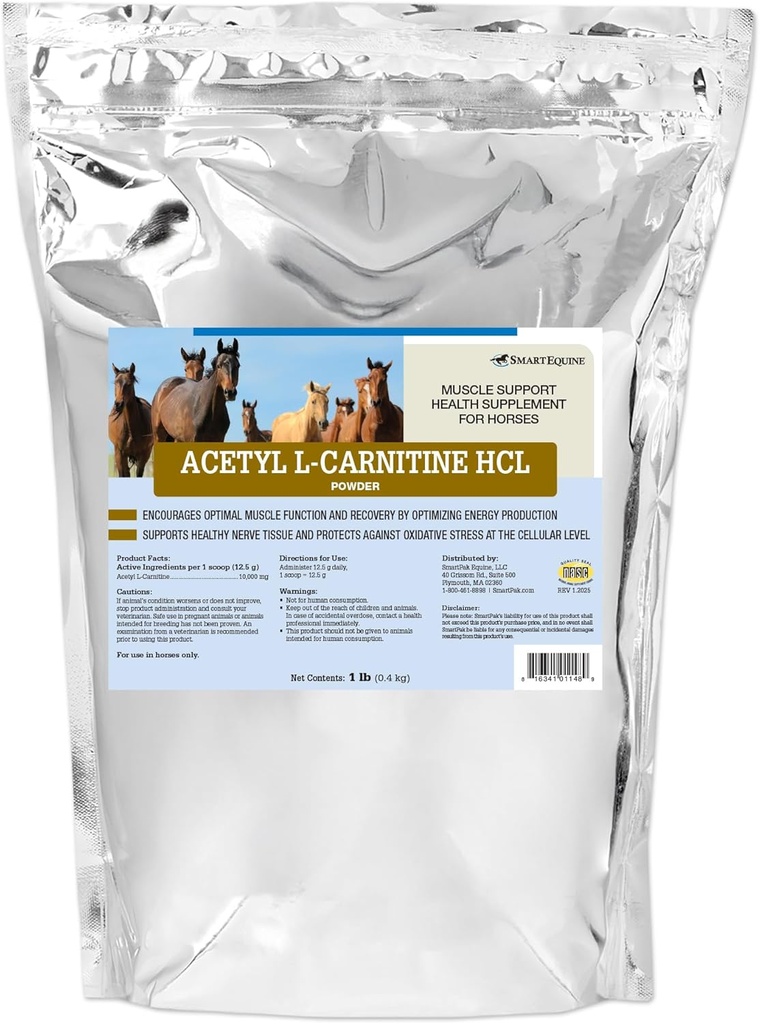 Acetil L-Carnitina HCL po | Suplemento de enerxía do cabalo e suplemento muscular para cabalos que soportan a función muscular e máis | Fórmula pura Antioxidante-Rich | 1 lb Bag