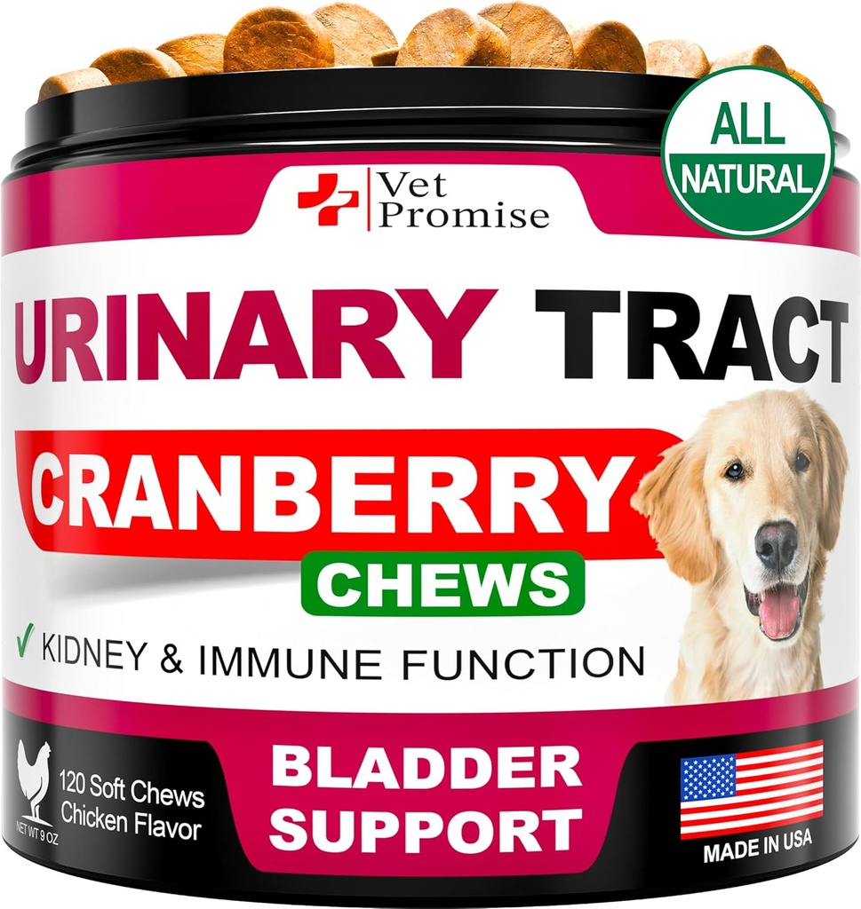 Hond UTI behandeling - Cranberry Supplement voor honden UTI - Bladder controle - Urineweginfectie behandeling Geneeskunde - Cranberry Supplement Vitaminen Multivitamine Kauwen - Made in USA