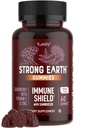 Strong Earth Elderberry Gummies – Sambucus Elderberry Immune Support with Vitamin C & Zinc – Black Elderberry Gummies, Berry Flavor, Non-GMO, Gluten Free, Kosher – 60 Count