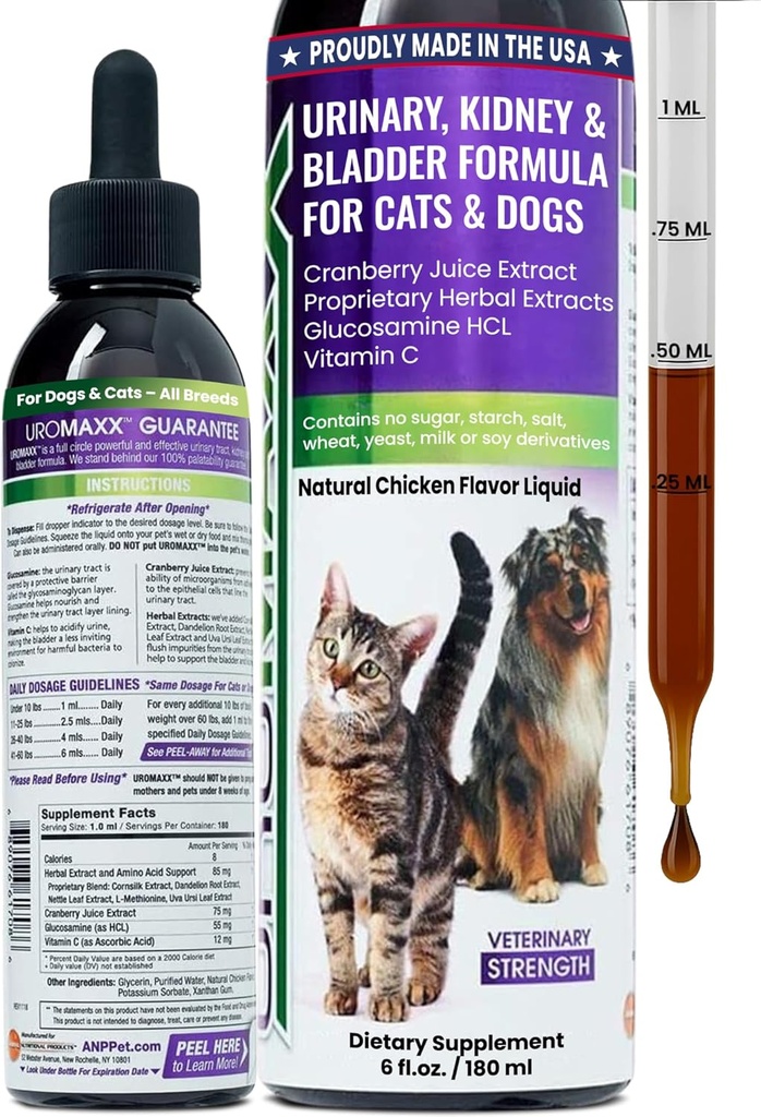 Cat & Dog Urinary Tract Treatment, Bladder & Kidney Support för hundar och katter, kraftfull men jämn Pet Care, med flytande tranbär & glukosamin, kyckling smak, 6 oz flaska, 1 Pack