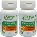 Punarnava Forte Capsule 500 mg. 60 Veg. Capsule | Punarnava (Buerhaavia Diffusa) 供男女使用的Capsules | Ayurvedic 草药补充剂/修复剂 | 10:1 堡(2瓶60 Capsules)