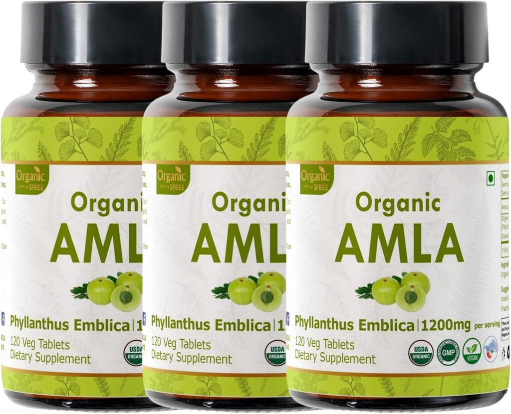 Amla 120 Tablets - USDA Organic Indian Gooseberry - Bogata w witaminy C & Wspiera zdrowie immunologiczne * - Opakowanie 3